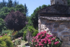 IMG_20200704_142723